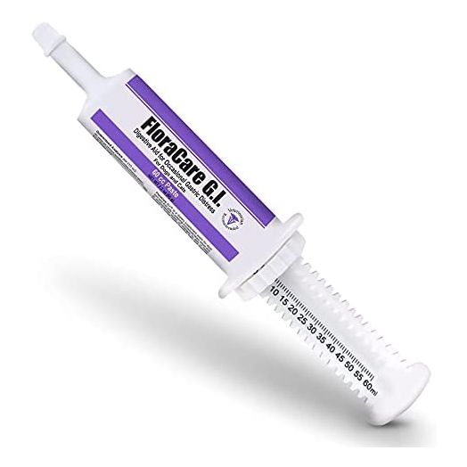Pet Health Solutions FloraCare G.I. for Dogs & Cats - Dietary Supplement Paste - Healthy Intestinal Tract, Digestion, Bowel Health - Vitamin, Protein, Fat, Fiber - 60 CC,RAPIDCARE60CC