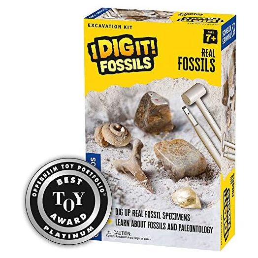 Thames & Kosmos I Dig It! Fossils - Real Fossils Excavation Kit | Science Experiment Kit | Excavate Real Fossil Specimens | Paleontology | 2018 Oppenheim Toy Portfolio Platinum Award