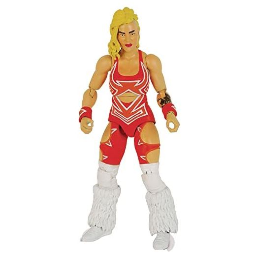 Boss Fight Studio Legends of Lucha Libre: Fanaticos: Taya Valkyrie Action Figure, Multicolor