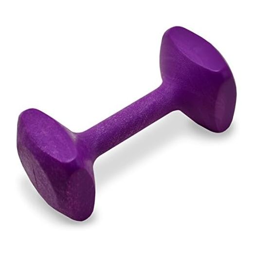 J&J Dog Supplies Obedience Retrieving Dumbbell with 2 1/2" Ends, 2 1/2" Wide Bit and 11/16" Diameter Bit, Purple, Small