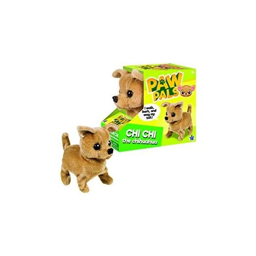 Westminster Chi-Chi Chihuahua