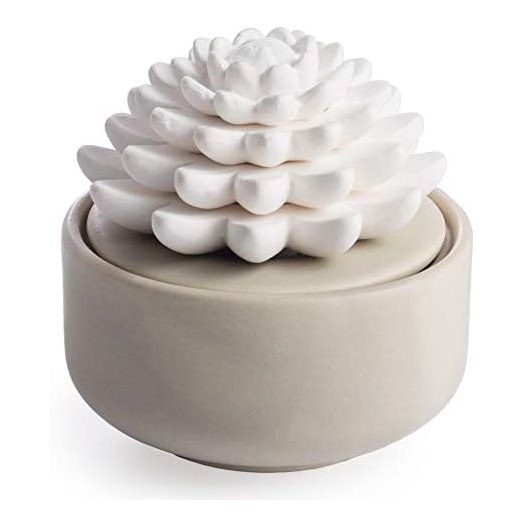 Airomé Succulent Passive White Porcelain Diffuser, Non-Electric, Battery-Free Fragrance and Essential Oil Diffuser with Peppermint Essential Oil, White Cactus with Beige Base