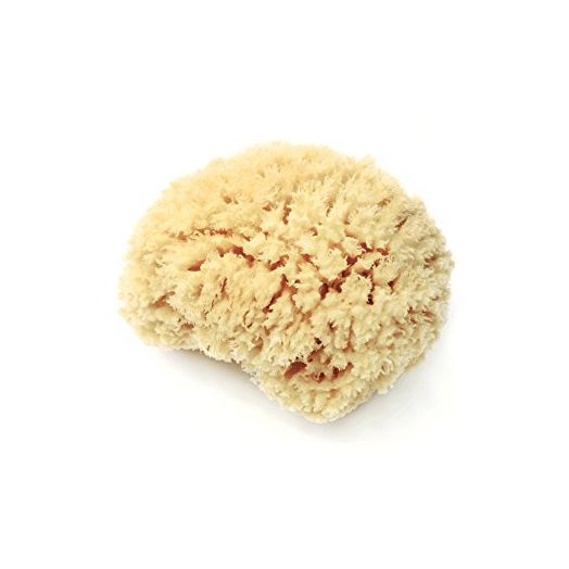 LATHER Natural Sea Wool Sponge | Self Care | Shower and Bath Sponge | Natural Loofah | Sea Sponge for Body Care | One Large Sea Sponge Perfect for Facial Cleansing and Body Wash Sponge
