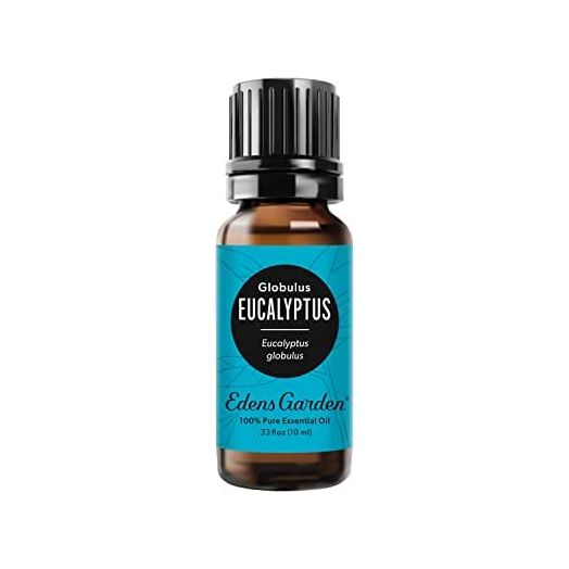 Eucalyptus 100% Pure Therapeutic Grade Essential Oil- 10 ml