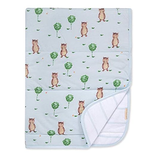 Burt's Bees Baby - Reversible Blanket, Nursery, Stroller & Tummy-Time Organic Jersey Cotton Quilted Infant & Toddler Bedding