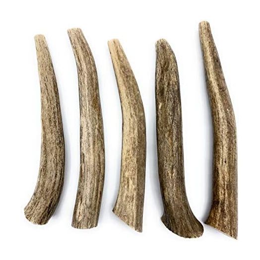 Deer Antlers for Dogs, Premium, Grade A, Deer Antler Dog Chew, Long Lasting Dog Treat for Your Pet. from The USA (5-Pack, Small, Long)