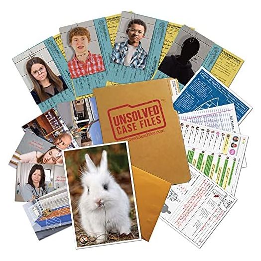 UNSOLVED CASE FILES | Honey The Bunny - A Family-Friendly Mystery Case to Solve