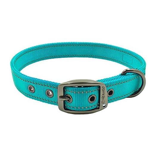 Max and Neo MAX Reflective Metal Buckle Dog Collar - We Donate a Collar to a Dog Rescue for Every Collar Sold (Large, Teal)