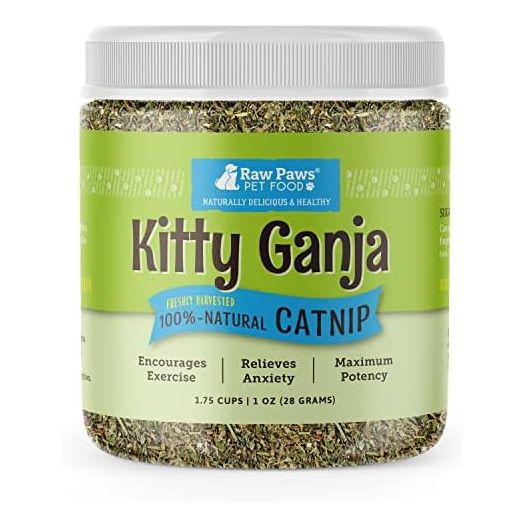 Raw Paws Natural Catnip for Cats, 1-oz - Use for Refillable Catnip Toys for Cats - Catnip Treats for Cats - Catnip for Dogs - Cat Nip Cat Grass - Dog Catnip - Dried Catnip Leaves & Seeds
