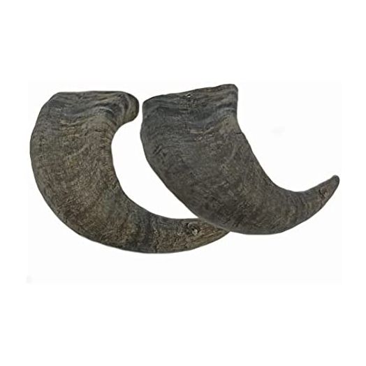 WhiteTail Naturals - Water Buffalo Horns for Dogs (2 Pack Large) All-Natural Buffalo Horn Dog Bone - Long Lasting Chew Toy for Aggressive Chewers and Teething Puppies