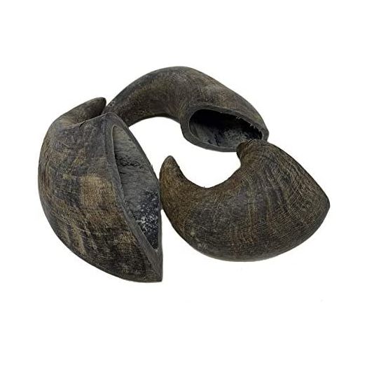 WhiteTail Naturals - Water Buffalo Horns for Dogs (3 Pack Medium) All-Natural Buffalo Horn Dog Chew - Long Lasting Chew Toy for Aggressive Chewers and Teething Puppies
