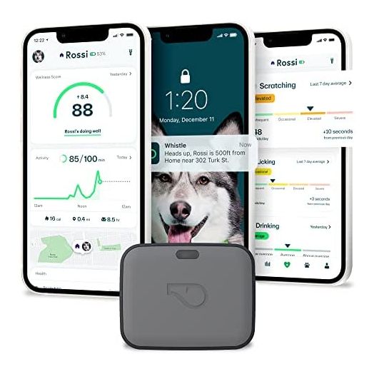Whistle GO Explore GPS + Health + Fitness Dog Tracker Plus Health & Fitness Monitor, Waterproof, Safe Place Escape Alerts, Built-in Light, Fits on Dog Collar, for Dogs 25 lbs and up Grey