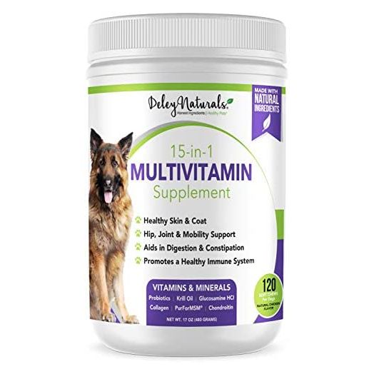 Deley Naturals 15 in 1 Dog Multivitamin Treats - Immune System, Skin & Coat, Joint Support & Digestion - Vitamins for Dogs of All Ages - Made in USA - Chicken Flavor - 120 Grain Free Soft Chews