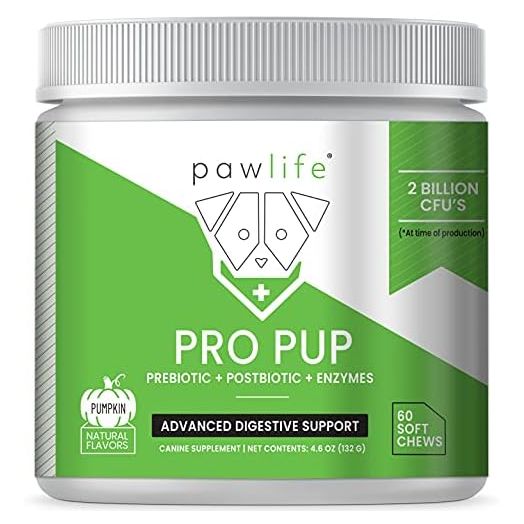 Probiotic Chews for Dogs - Pro Pup Dog Probiotics, Veterinarian Formulated Dog Probiotics and Digestive Enzymes, Dog Gut Health Probiotics, Natural Dog Gas Relief (Pumpkin Flavor)