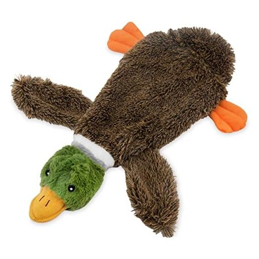 Best Pet Supplies Stuffing Free Squeaky Dog Toys for Small Dogs, Medium Dogs, and Large Dogs, Durable, Best Dog Chew Toy for Teething Puppy, Indoor Play - Wild Duck, Small