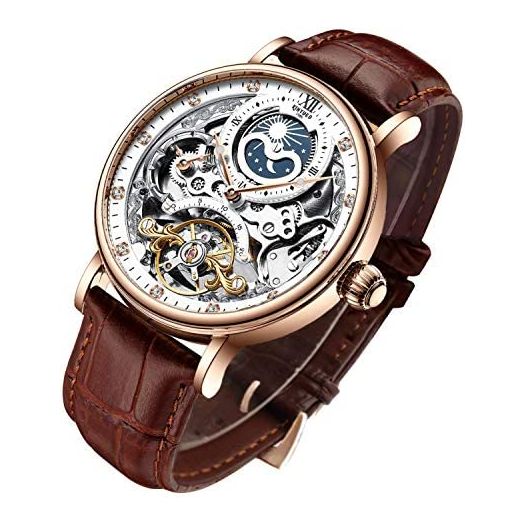 Bestn Mens Luxury Skeleton Automatic Mechanical Wrist Watches Leather Moon Phrase Luminous Hands Self-Wind Watch