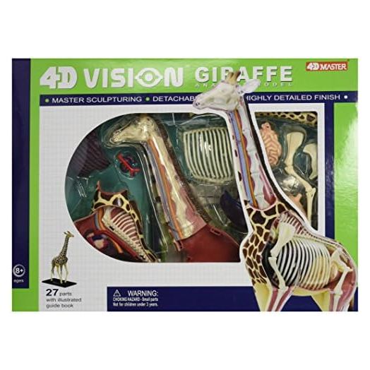 4D Vision Giraffe Anatomy Model, 14.5 inches
