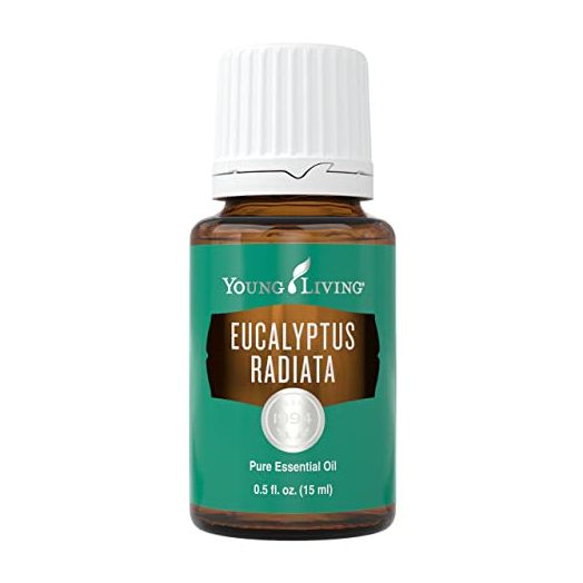 Young Living Eucalyptus Radiata Essential Oil - Refreshing and Clean Aroma - 15 ml