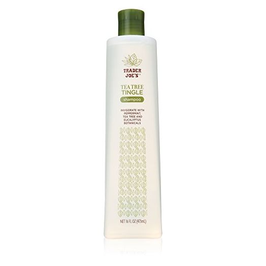 Trader Joe's Tea Tree Tingle Shampoo with Peppermint, Tea Tree and Eucalyptus Botanicals (Pack of 2) by Kodiake