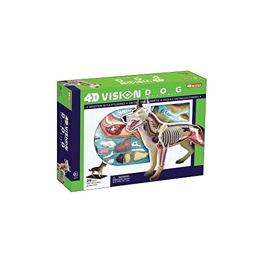Tedco 4D Vision Dog Anatomy Model