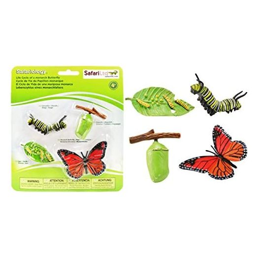 Safari Ltd Life Cycle of a Monarch Butterfly