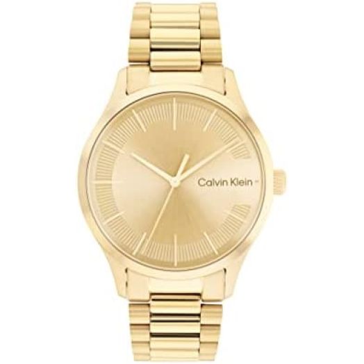 Calvin Klein Unisex Quartz Ionic Gold Plated Steel and Link Bracelet Watch, Color: Gold Plated (Model: 25200038)