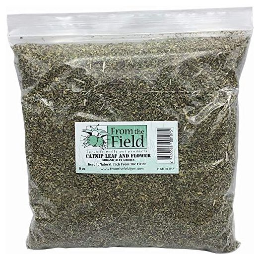 Catnip Leaf and Flower Jumbo Bulk Bag 9 OZ, Green