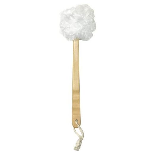 Aquasentials Exfoliating Mesh Brush (Singe)