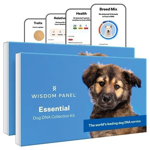 Wisdom Panel Essential Dog DNA Kit: Most Accurate Test for 365+ Breeds, 30 Genetic Health Conditions, 50+ Traits, Relatives, Ancestry - 2 Pack