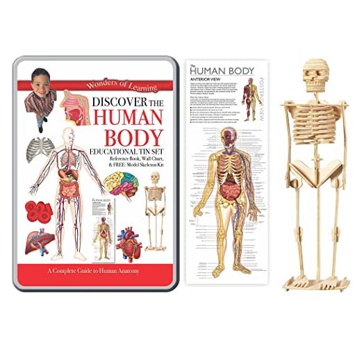Wonders of Learning Wonders of Learning Tin Set, Discover The Human Body