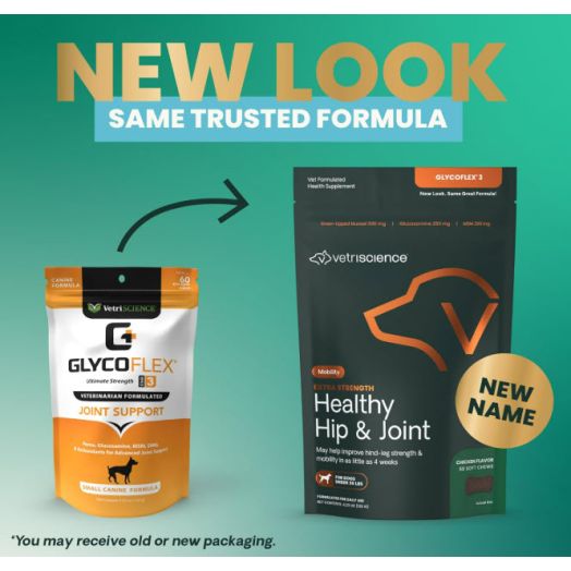 VetriScience Laboratories - GlycoFlex 3 Hip and Joint Supplement for Small Dogs, 60 Bite Sized Chews | VetriScience Laboratories