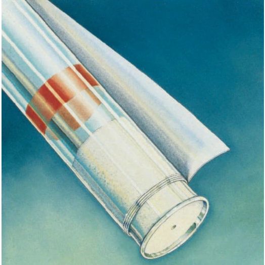 BD SurePrep™ Capillary Blood Collection Tube, Heparin 70 µL Pack of 200