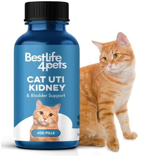 BestLife4Pets Urinary Tract and Kidney Support for Cats; Natural homeopathic UTI Treatment Helps with Frequent Urination, Vomiting and Urine Infections, Improves Renal Health and Bladder Control