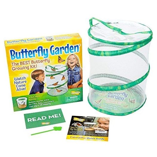 As Seen on TV Butterfly Garden by Insect Lore