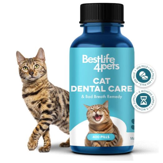 BestLife4Pets Oral Health for Cats - Cat Dental Care Supplement; Anti-inflammatory Pain Relief for Stomatitis Gingivitis and Gum Disease; Cat Supplies for Dental Care - Easy to Use Pills (400 ct)
