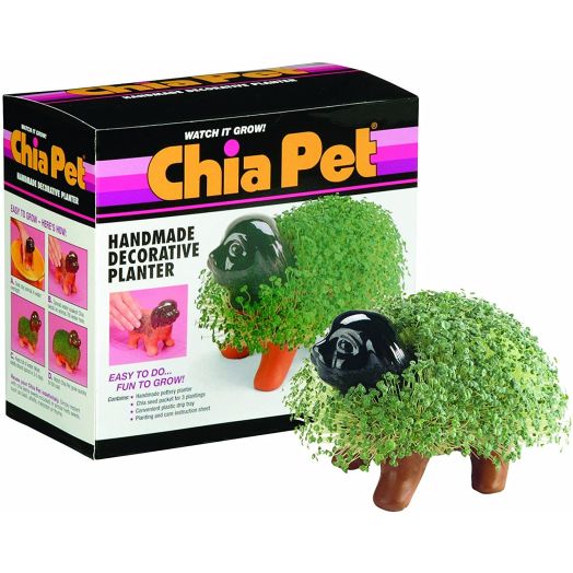 Chia Pet Decorative Planter Kit Puppy