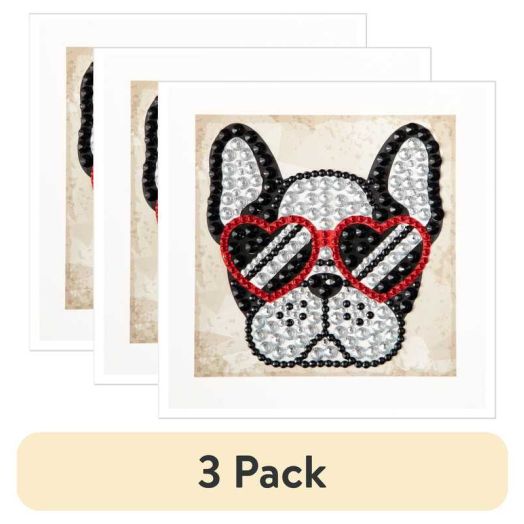 (3 pack) DIAMOND DOTZ BIG DOTZ CAMEO Cool Sunnies Diamond Painting Kit