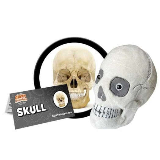 GIANTmicrobes Skull Plush- Adorably Realistic Plush Human Skull Educational Biology Gift Excellent Gift for Students, Doctors, Nurses, Teachers, Scientists, and Any Lover of Heads and Bones