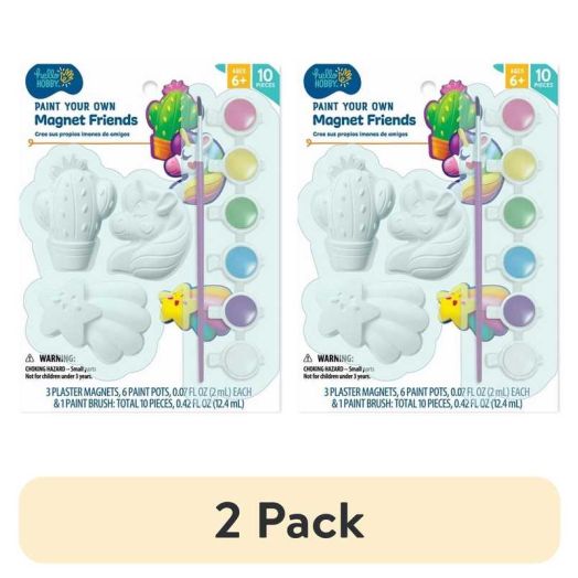 (2 pack) Hello Hobby Paint Your Own Magnet Friends, Child Craft Kit