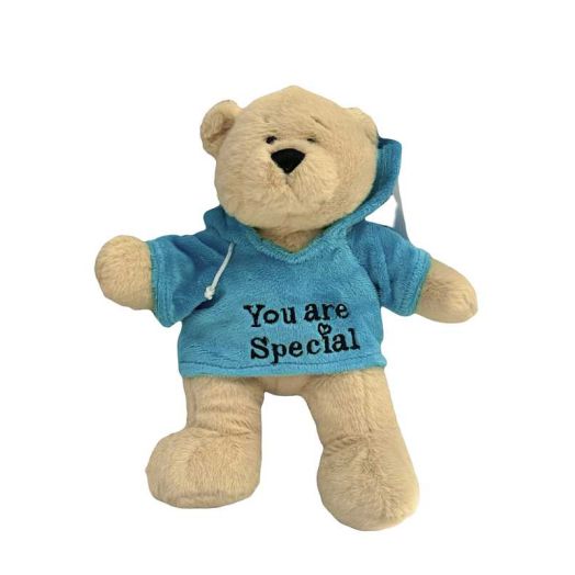 You are Special Blue Hoodie Adorable Teddy Bear Plush - By Ganz
