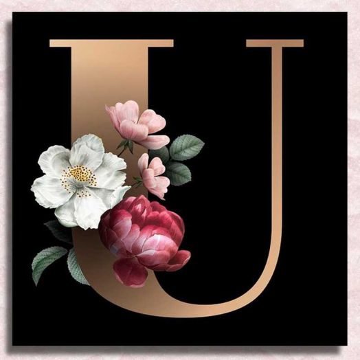 JYLMOOD Custom Diamond Art Full Round Drill Gem Diamond Painting Kits for Adults Beginner, 30x30cm