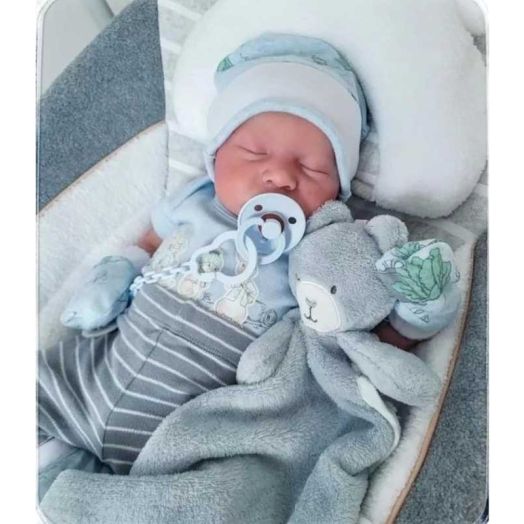 Realistic Reborn Dolls Levi - 18 Inch Lifelike Sleeping Baby Boy That Look Real Soft Cloth Body Newborn Baby Dolls Poseable Advanced Painted with Gift Box Set for Kids Age 3+