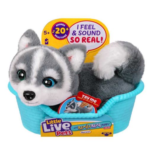 Little Live Pets My Really Real Puppy Minis Aurora the Husky Interactive Puppy 20+ Sounds & Reactions Ages 5+