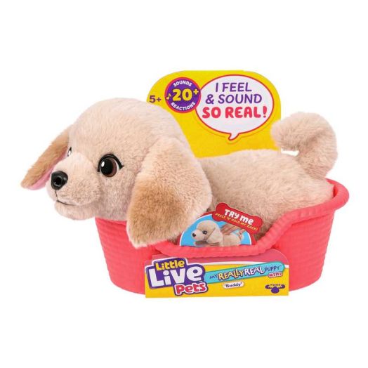 Little Live Pets My Really Real Puppy Minis Buddy the Retriever Interactive Puppy with 20+ Sounds & Reactions Ages 5+