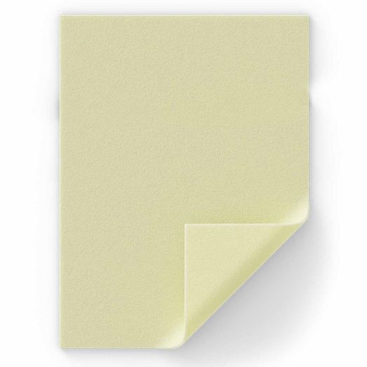 Molnlycke Exufiber Ag+ Antimicrobial Gelling Fiber Dressing, 8 x 12 Inch