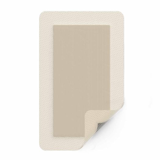 Molnlycke Mepilex Border Ag Antimicrobial Foam Dressing, 4 x 10 Inch