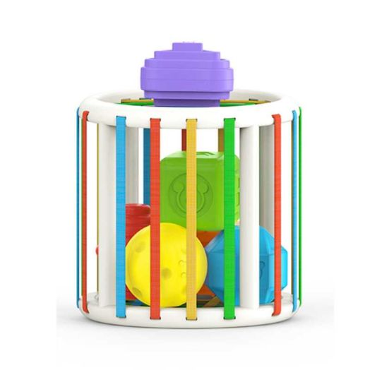 Baby Developmental Toys,Montessori Toys for 1 Year Old, Baby Sensory Toy,Cube & 6 Sensory Shape Blocks Sorter,Round Shape