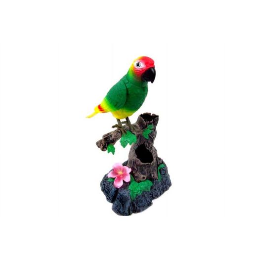 PlayWorld Music Magic Talking Parrot