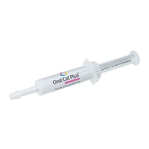 Breeders' Edge Oral Cal Plus - Calcium Supplement 15ml