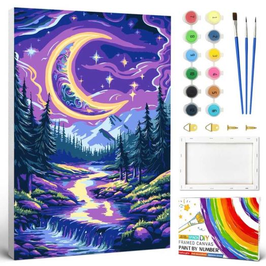 QUITEDEW Moon Paint by Numbers Kits for Adults,Starry Night Oil Painting on Canvas with Frame,Gift and Decor 8x12 Inch